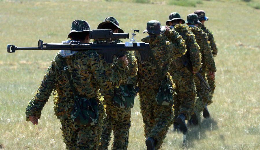 中国国产大炮
攻坚利刃：QBU10式反器材狙击步枪的硬核实力
 
在现代战场上，