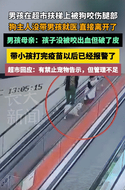 必须严惩！湖北利川，一名男孩在超市扶梯上被陌生老人牵的狗咬伤，疼痛让他忍不住嚎啕