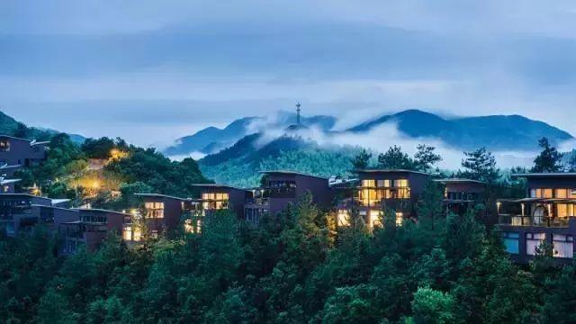 炎炎夏日，酷暑难耐，但对于浙江湖州的莫干山来说，这却是一年中最热闹的时候。
莫干