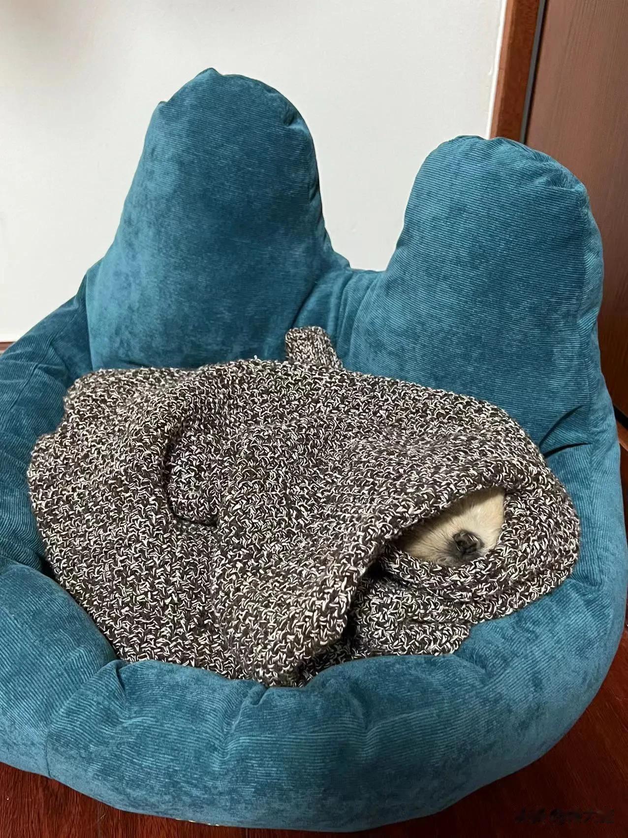 两个月没读评论了呀！正好月初了，该整上一期了，各位尽情留言吧！[憨笑][憨笑][