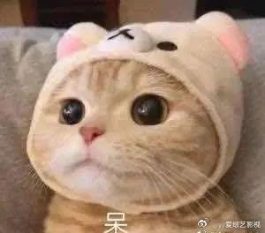 #E起CityDrive#无论是五辐轻合金轮毂还是高通智能座舱芯片，全新E级车都