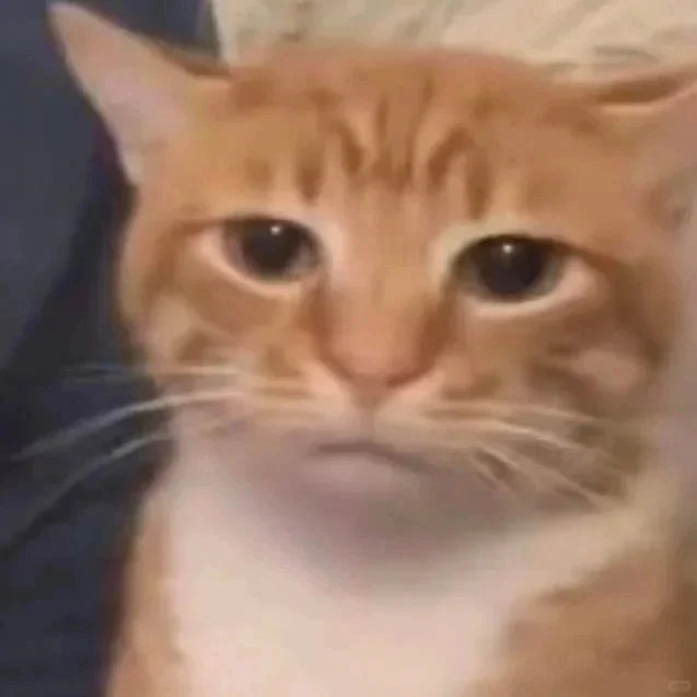 你敢惹我你就等着吧，你就永远等着吧我的反抗能力堪比一片薯片 