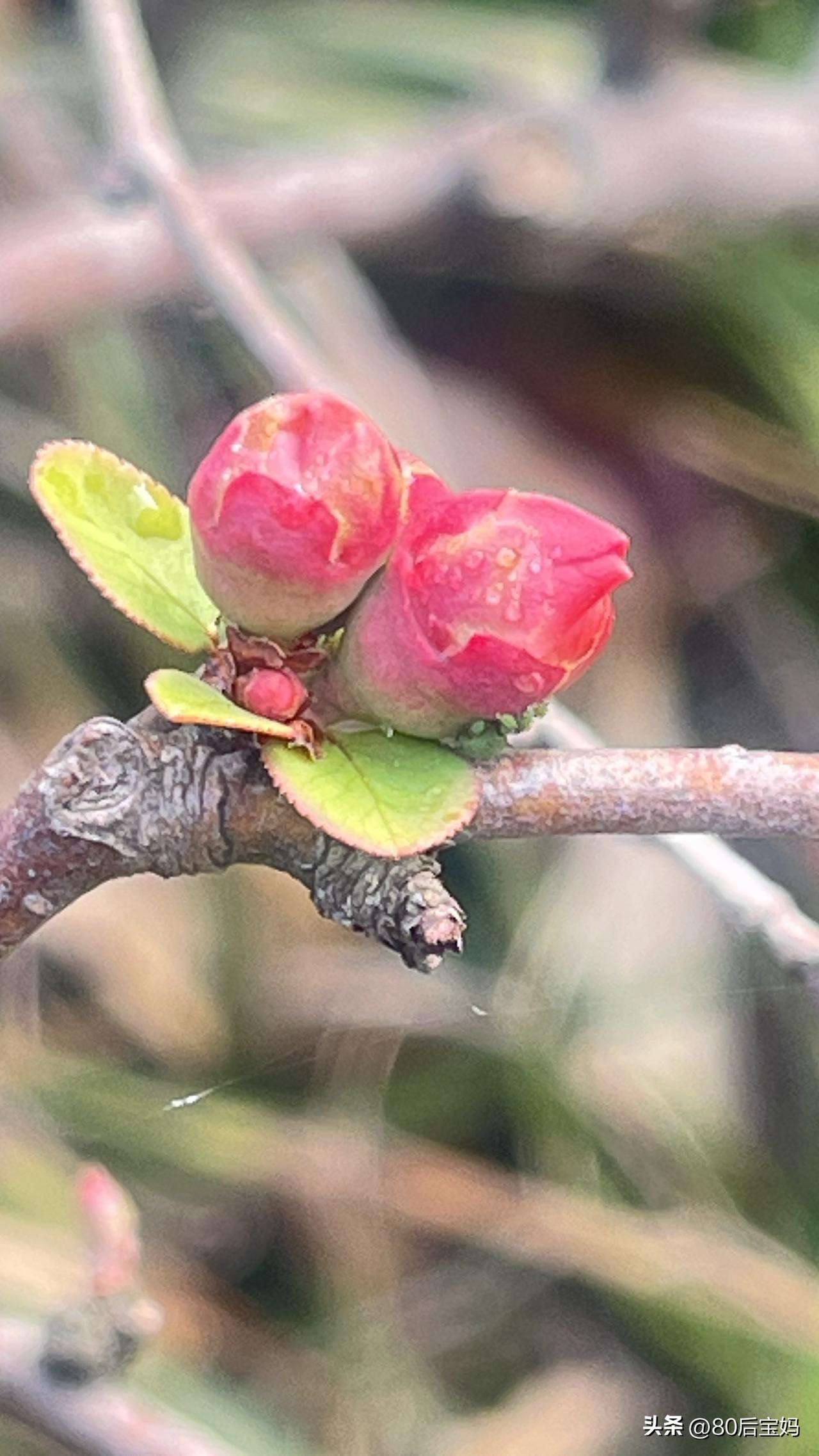 今天早上7:30照例来到了公园晨练。

今天的天气真好，阳光明媚，晴空万里，心情