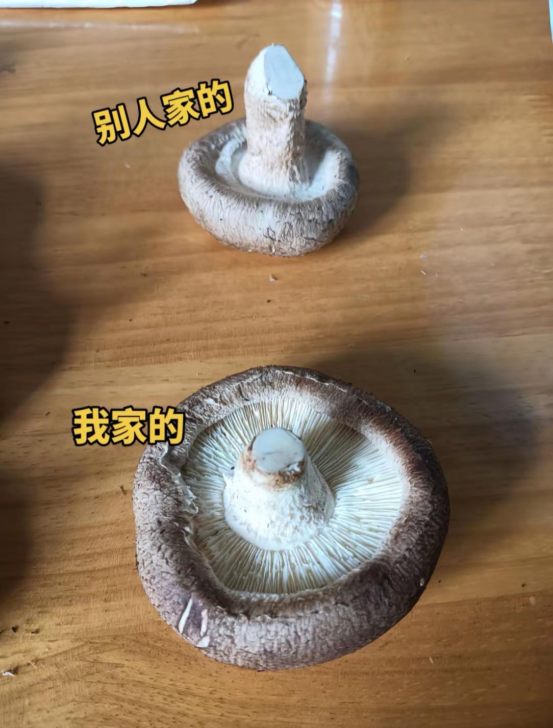 这是品种的问题吗？