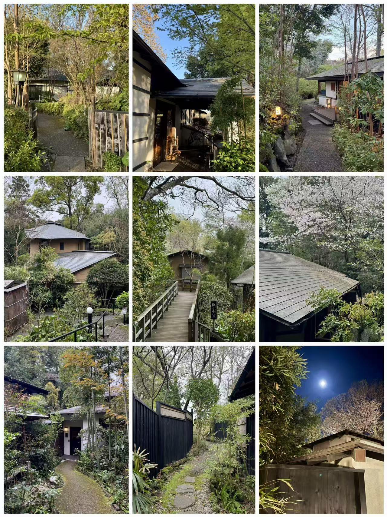 伊豆春夜，一场被温柔包裹的治愈之旅 260404

春日的伊豆，把所有的浪漫与松