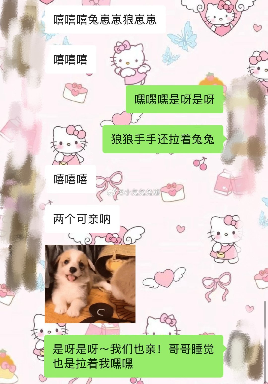 狼狼和他的兔兔老婆真的好可爱呀～我决定啦！狼狼失宠啦，我要抱着兔兔睡觉觉耶耶耶狼