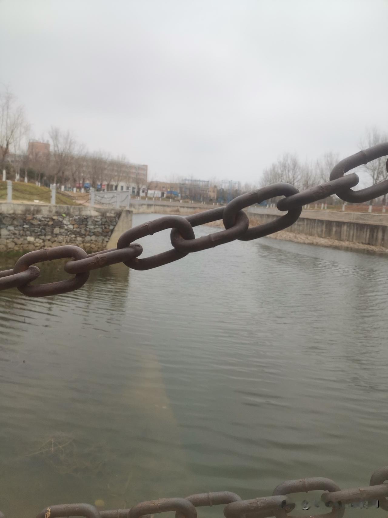 今年冬天的不同晒图笔记大赛 记录生活的一瞬间