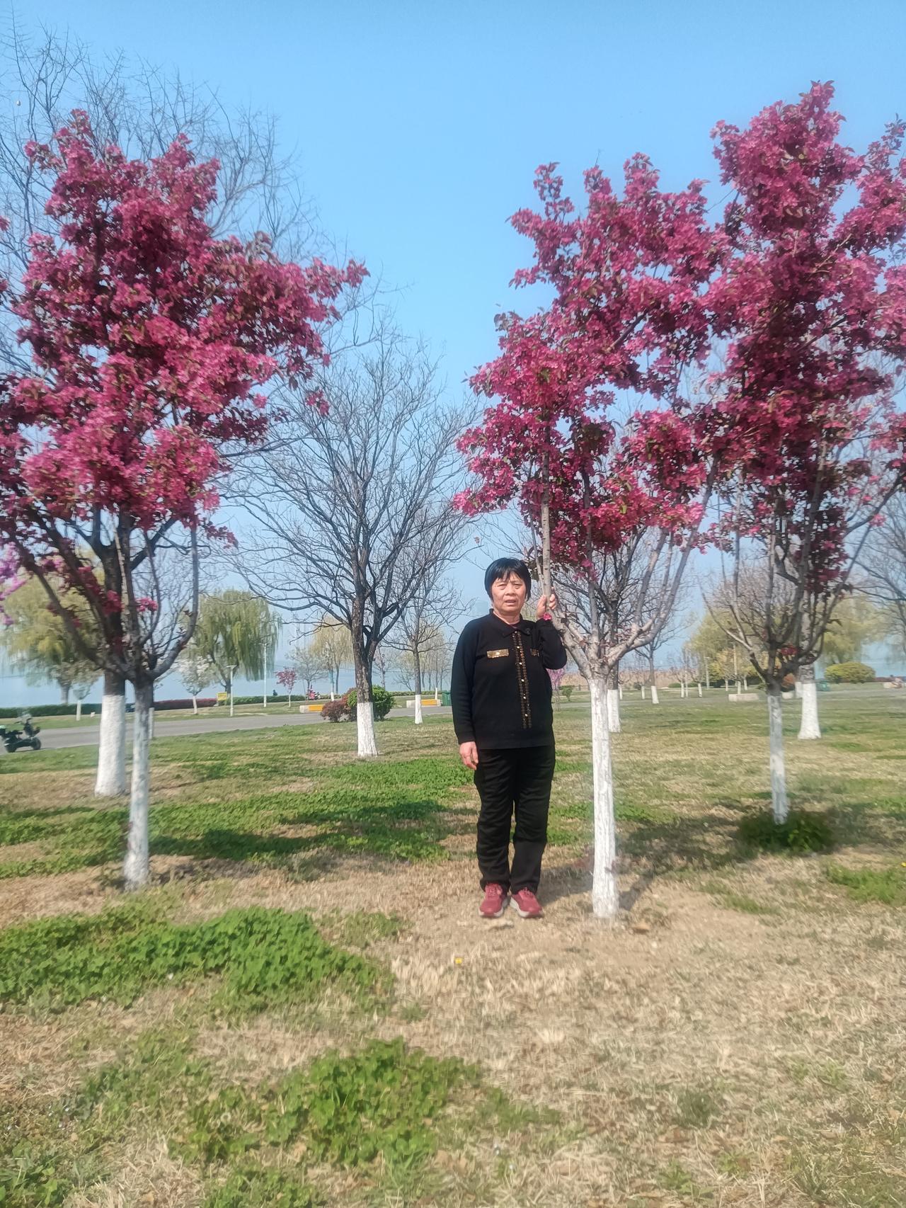 《激扬文字》
藏头诗
文/李兴伟
激情可令智思灵，
扬志方能养性神。
文字力彰崇