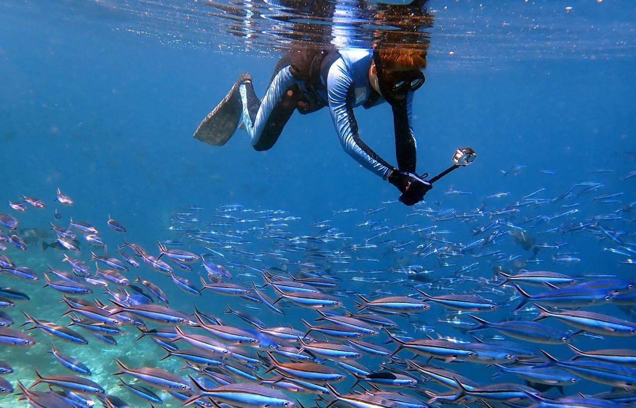 表弟今年28岁，本科毕业工作了2-3年，嫌工作累，辞职在家躺平了，平时在家就打打