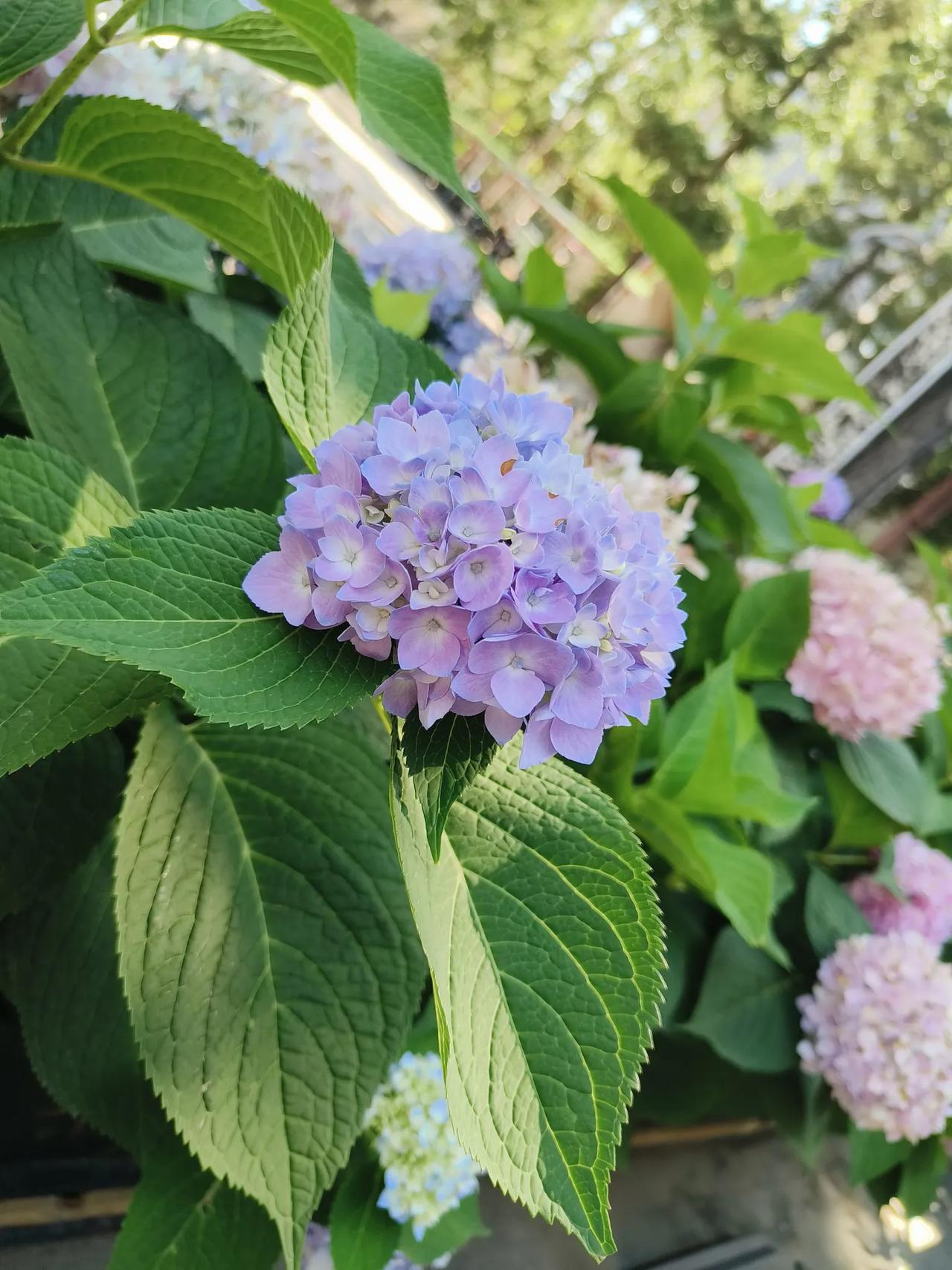这人呀，都是很聪明的，
快递也可以搞垄断，
在一线城市里，不管怎样
服务态度还好