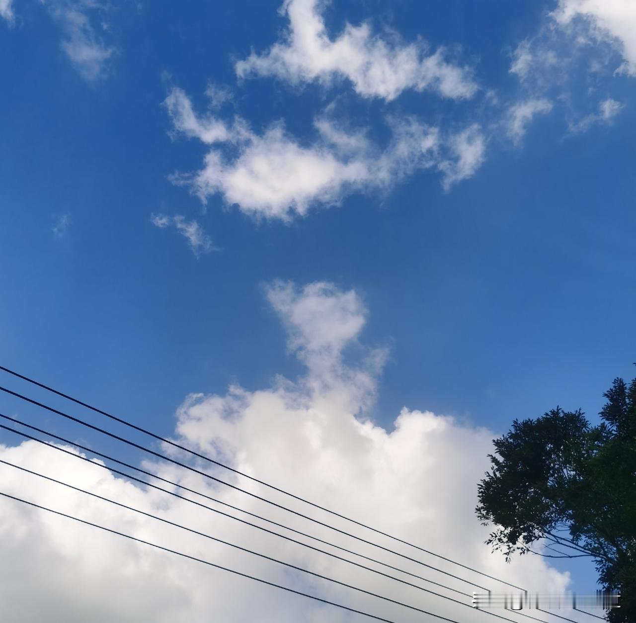 平淡如水的日子，就是快乐的日子

小时候，农田里，我只盼快点完成妈妈交待的任务