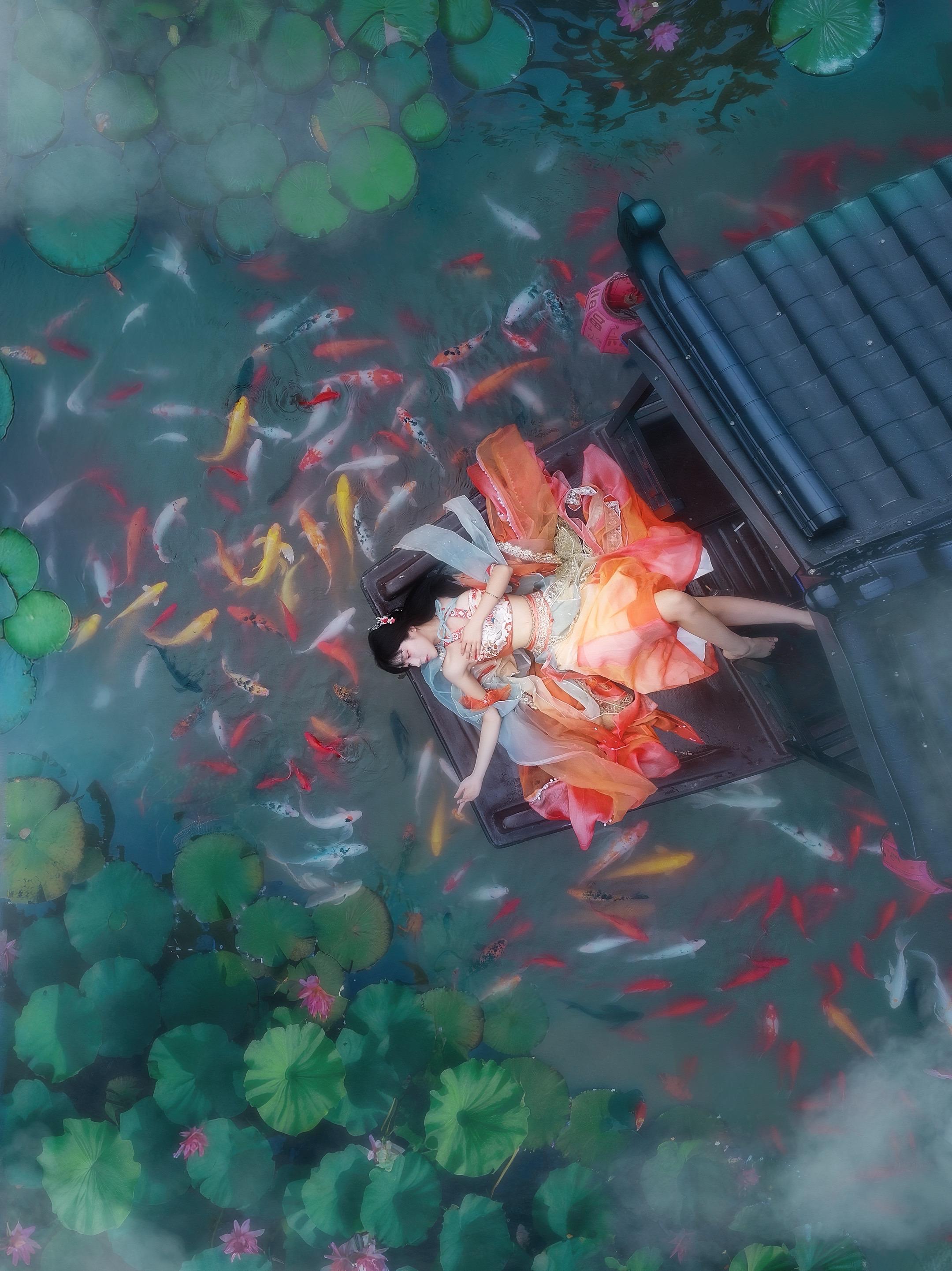 浮生一梦，荷影间，谁是画中人？