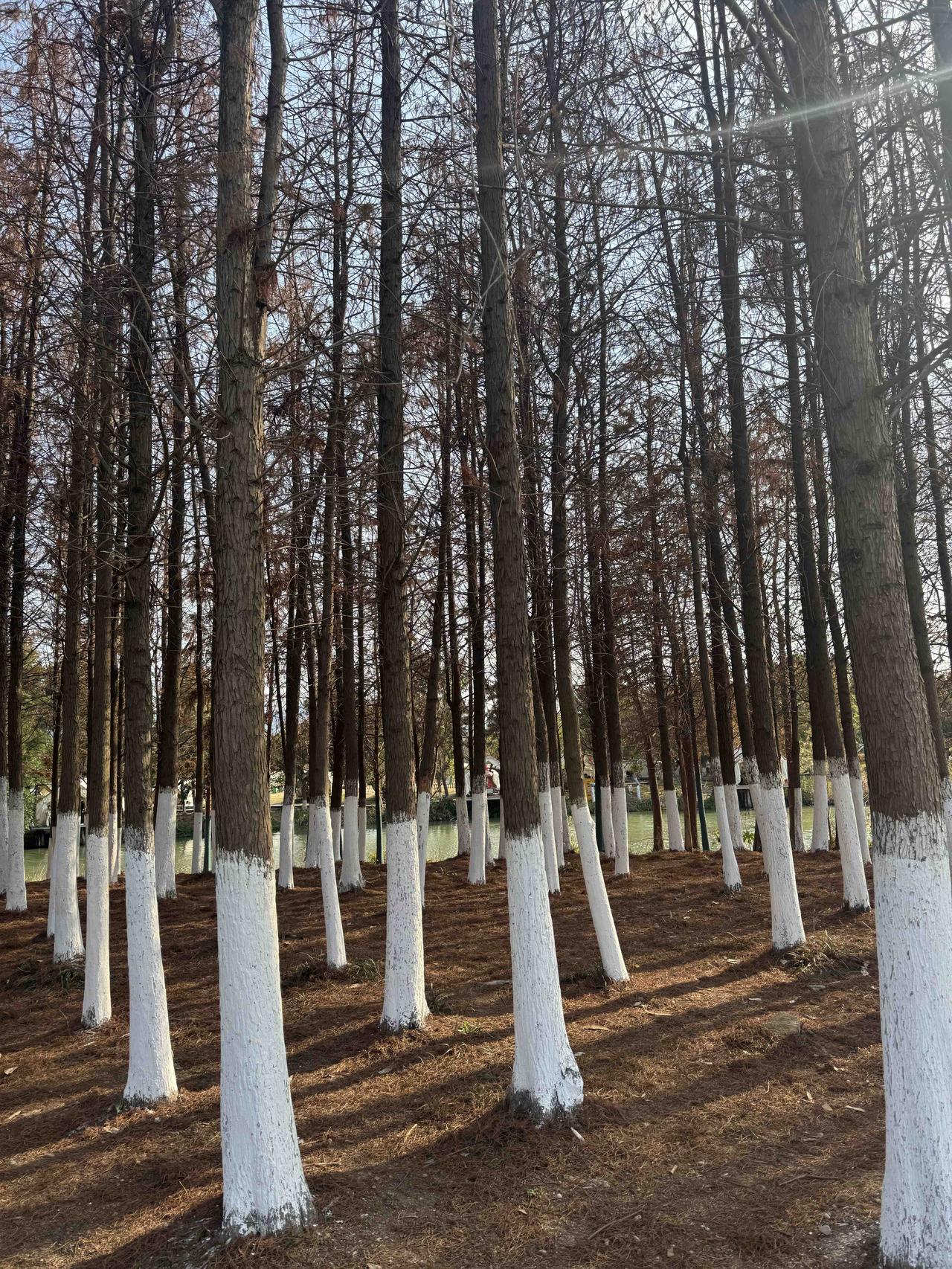 研究显示：男性过度关注国际形势、军事、财经，容易导致贫困？[捂脸][捂脸][捂脸