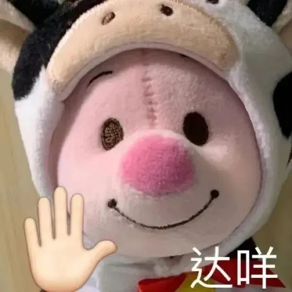 表情包里的快乐哲学，萌翻日常 #表情包# ​​​