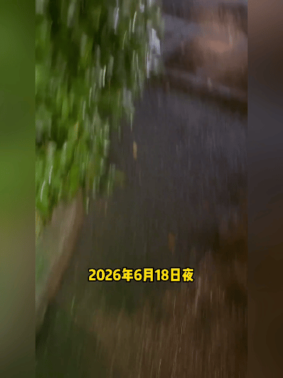生死一线！暴雨封死排水管道，小猫获救仅五分钟，通道彻底被大水吞没
 
2026年