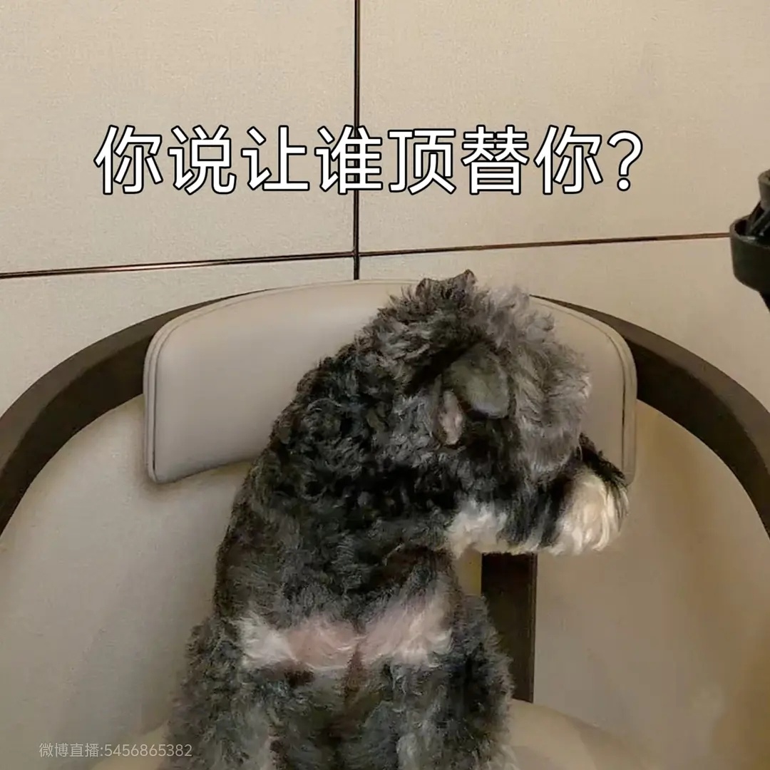 刘宇宁久违开播看到一条直播弹幕刘宇宁本体快出来了哈哈哈哈哈我们活泼可爱的宁宁啊就