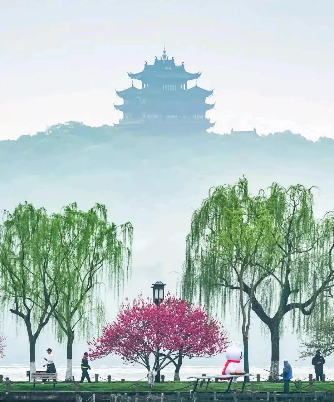 日本投降后杭州人怒砍西湖樱花！这一幕看完热血沸腾
 
刚看完《731》再翻到这段