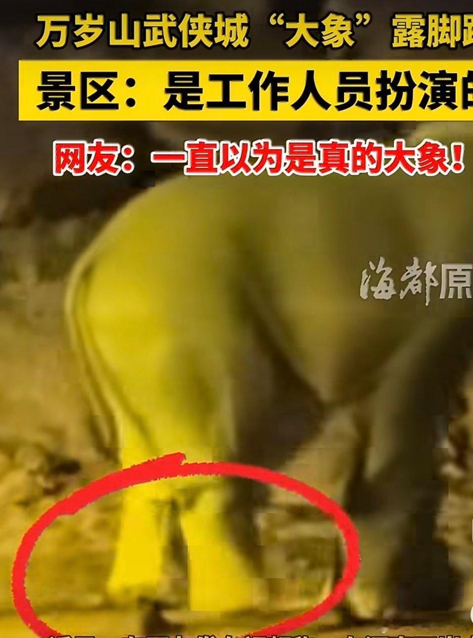 河南一景区露脚踝大象系演员扮演我觉得挺好呀，如果是真的大象，打铁花的环节吓到了伤