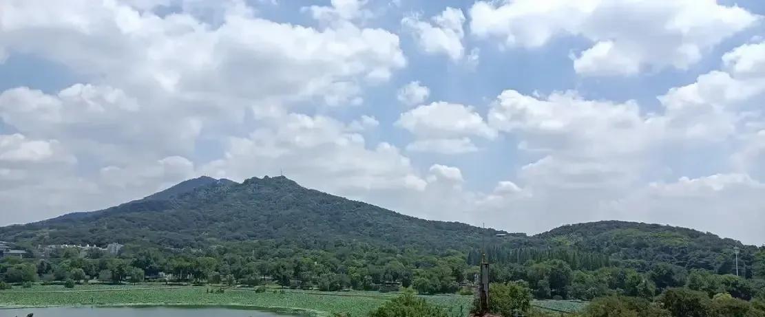 嫂子上周又飞广岛，上次回来才一年半，这回签三年，说把债清零再攒娃的大学费。
十几