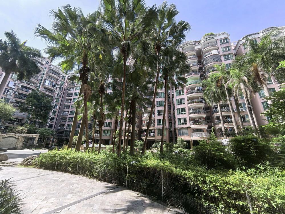 深圳龙岗阳光花园，46.31㎡住宅，市场评估总价 110 万，现65折71万起。