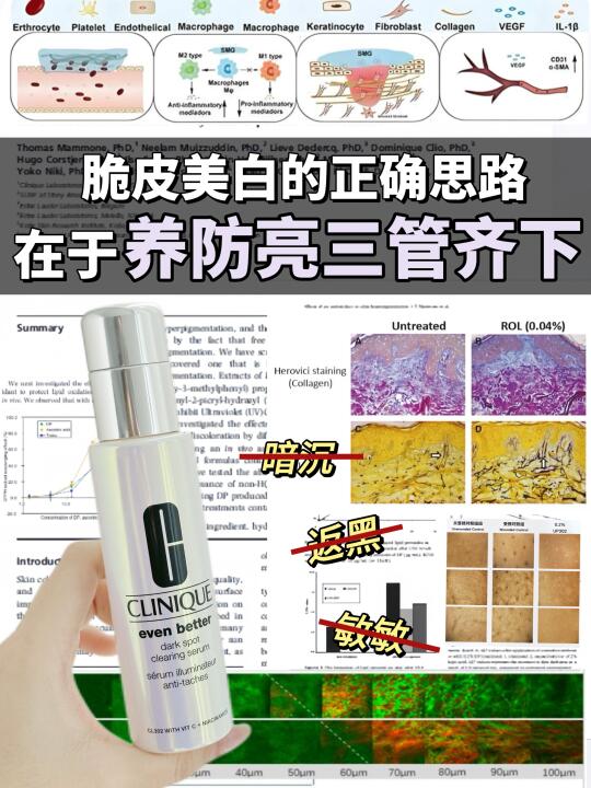白得太雷厉风行了，快哉快哉！