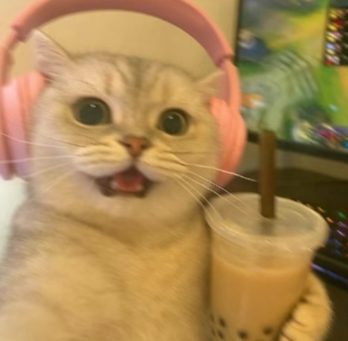 孙颖莎自拍 
