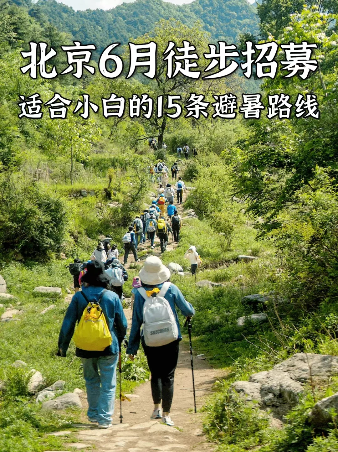 北京6月徒步招募🍃适合小白的15条避暑路线