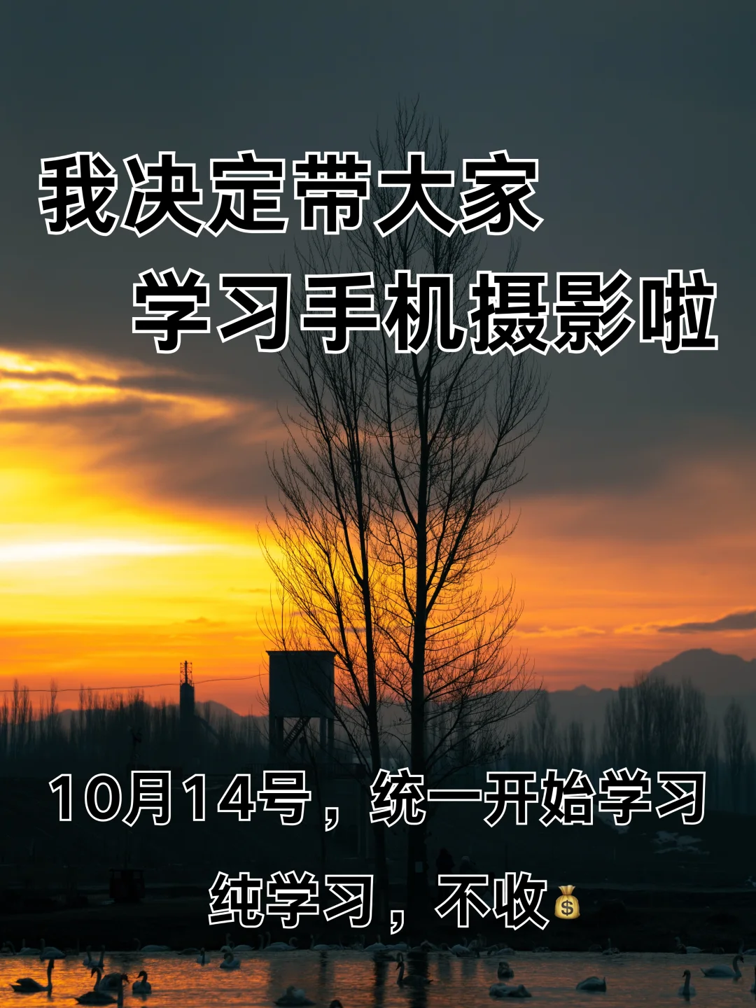 我决定带大家学习手机摄影啦！！