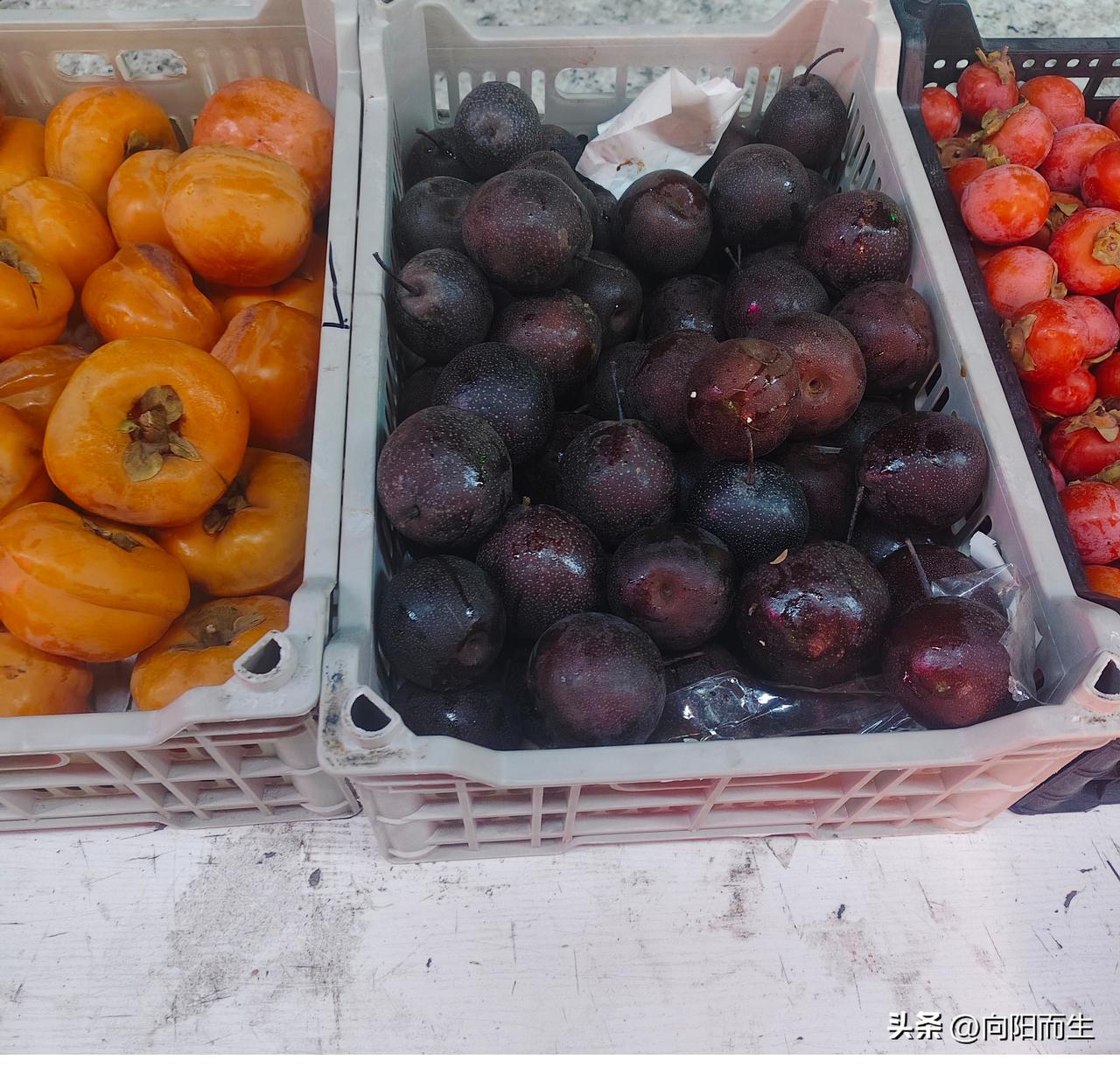 东北这嘎达一冻就是小四十天，
可把我魂儿勾回小时候了！
那时候过年，
哪个小孩手