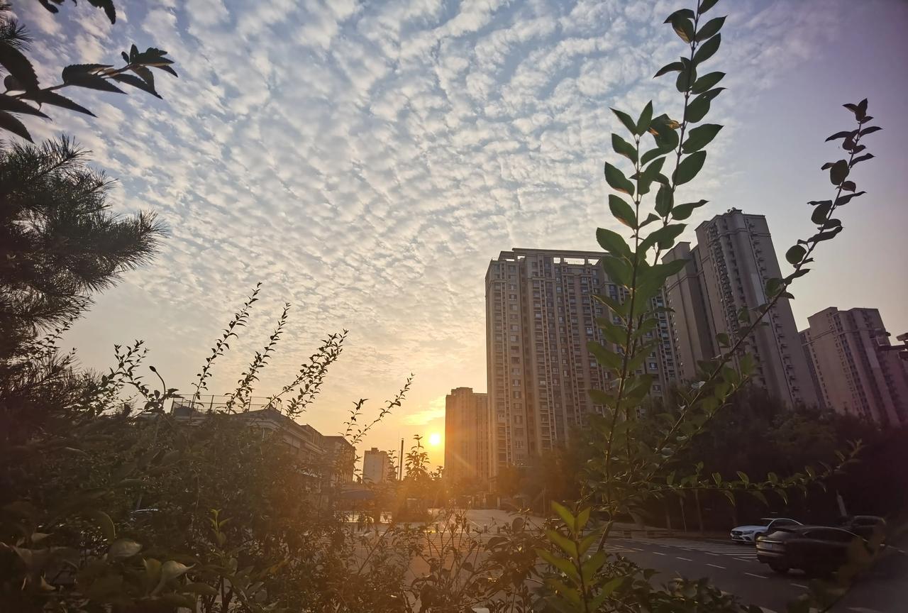 早安，北京[呲牙]