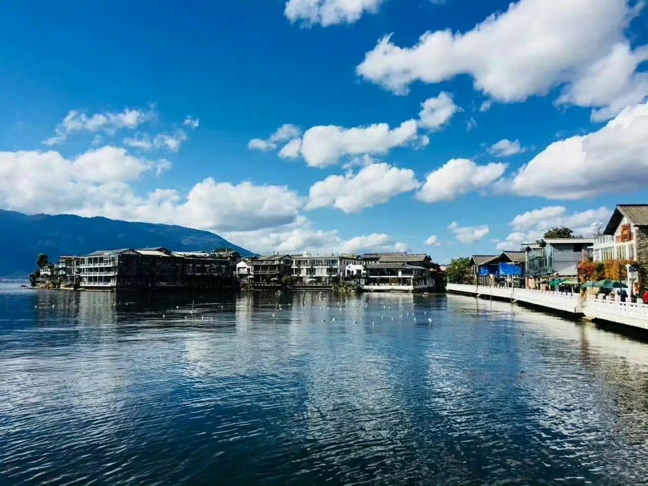 大理·双廊，温暖的阳光，温柔的花朵，轻抚的风，碧蓝的洱海...一切的一切，都让人