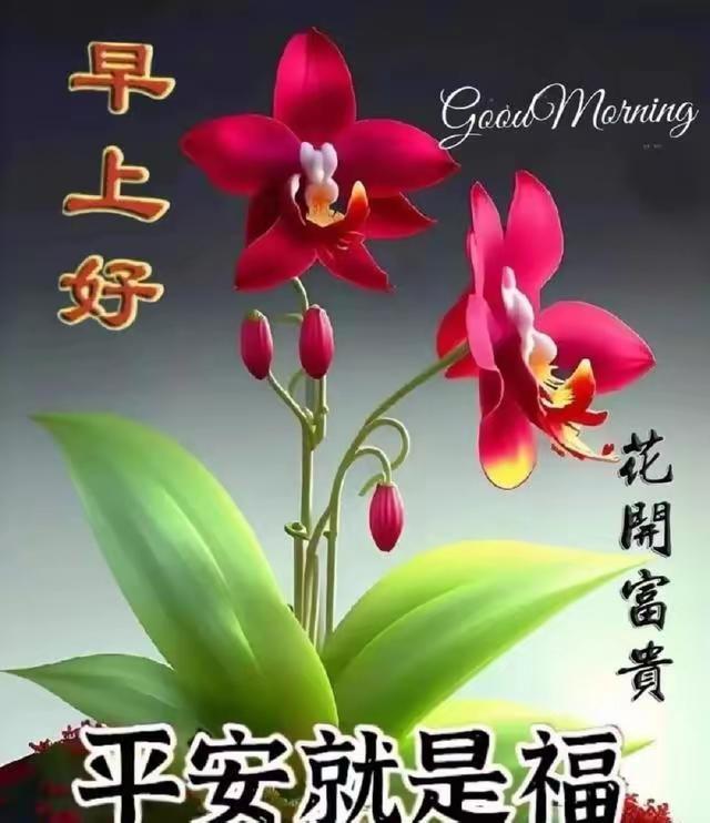 南浦诗联微信群交流录44

七律•美丽的葛店沐鹅湖公园
 
作者：秦春生

  