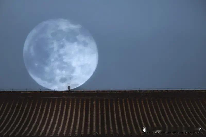 看到“举头未见当年月”这个上联，瞬间被那种时光流转、物是人非的感慨击中。这句上联