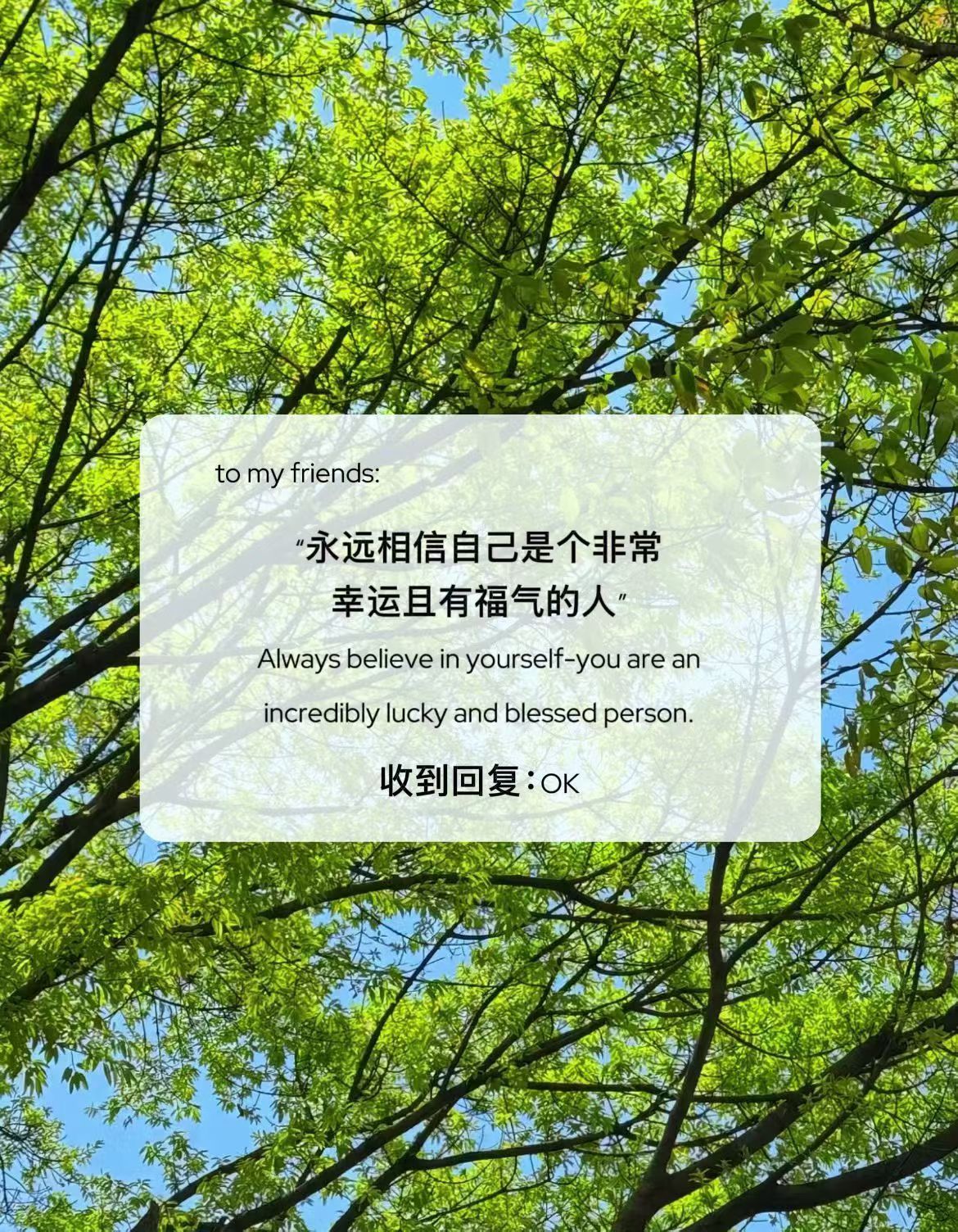 人生之美，在于与生活和谐共舞，彼此成就 