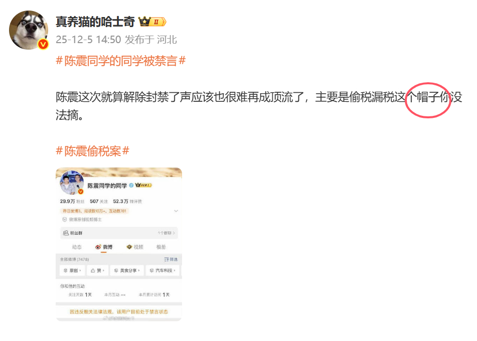 谁给陈震带帽子？偷税是事实，不是帽子。