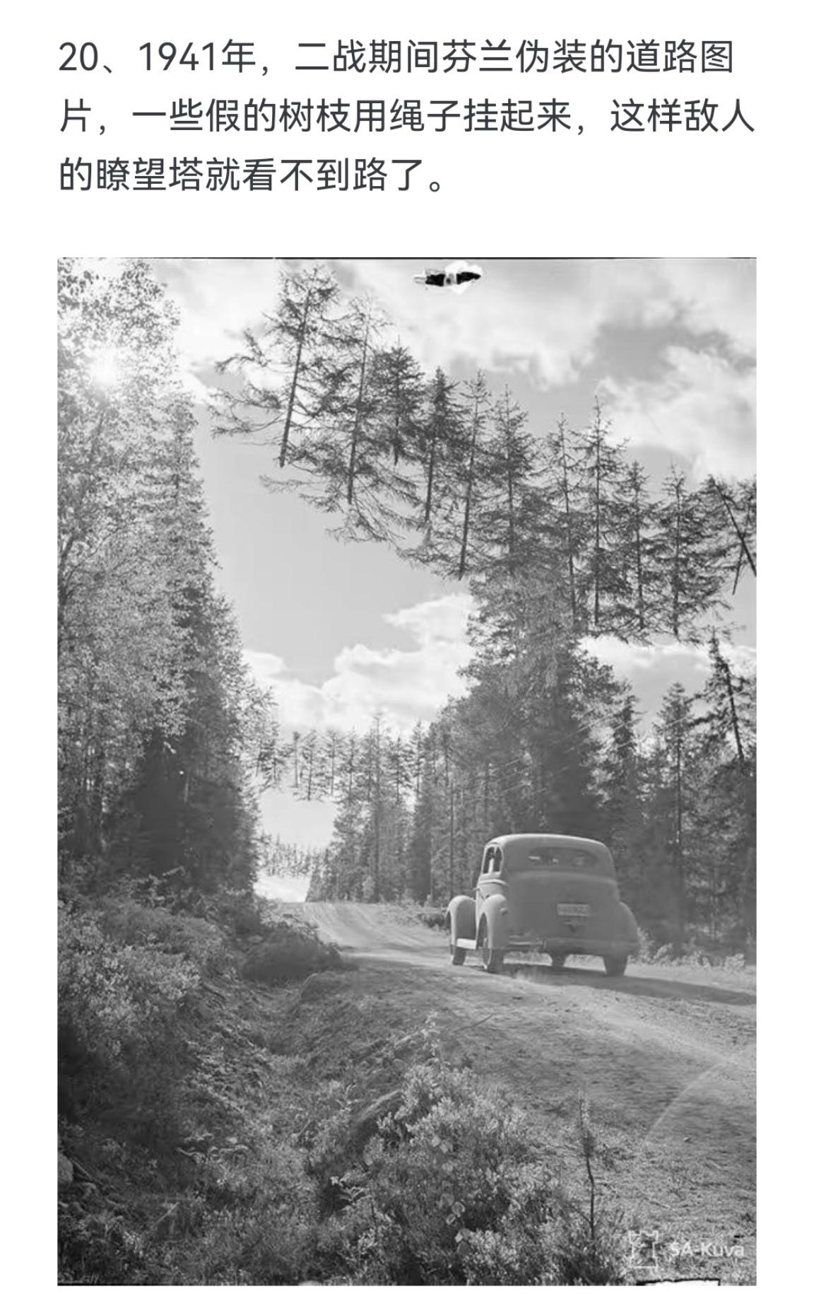 1941年，二战期间芬兰伪装的道路图片，一些假的树枝用绳子挂起来，这样...