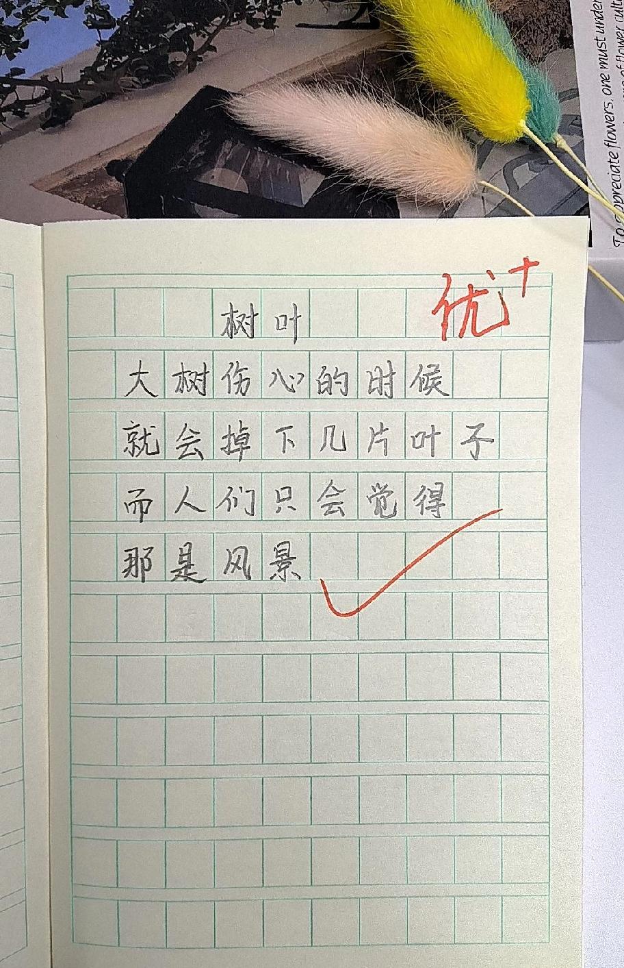 谁懂啊！一首《树叶》道尽孩子的共情力，简单几句让网友直呼惊艳