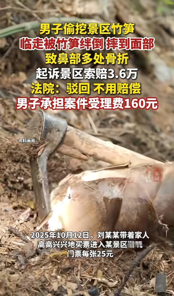 “理不直气也壮！”重庆，一男子带家人去景区游玩，他不逛景点，却跑到竹林里挖竹笋，