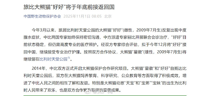 【旅居比利时大熊猫“好好”将于年底前接返回国】#大熊猫好好将于年底前回国#据中国