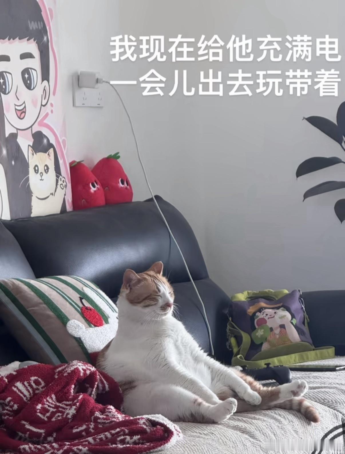 是快充吗 