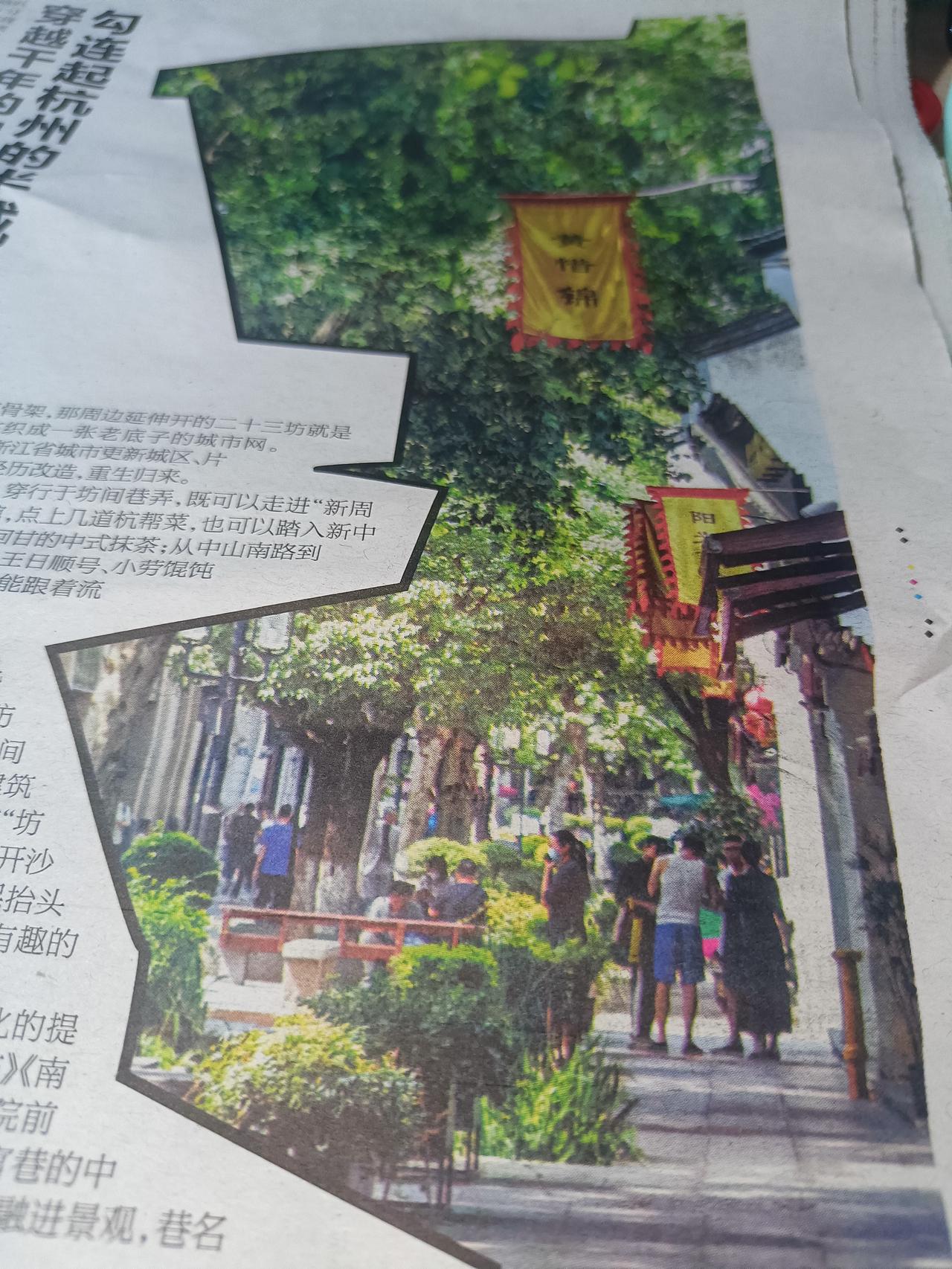 穿越千年的中山路，勾连起杭州的半城风月。这条古老而又充满生机的街巷，仿佛一条时光