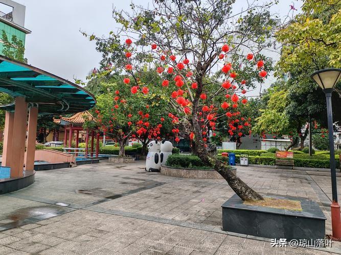 这几天陪书福老弟重温在南疆、新疆、兰州一同戍边的岁月感慨万千
书福老弟在军校便是