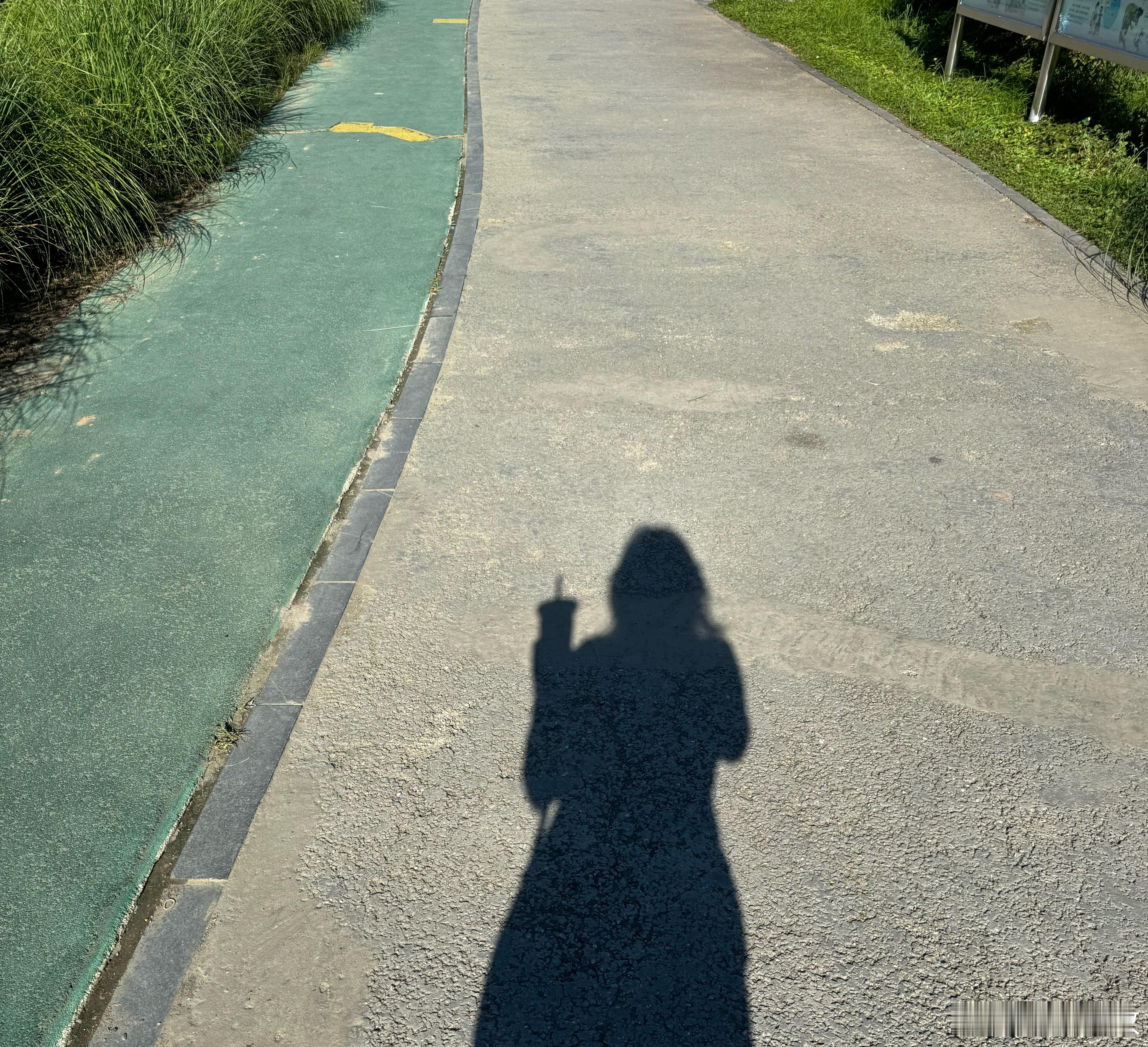 刚到球场已经后悔了 巨热 ​​​