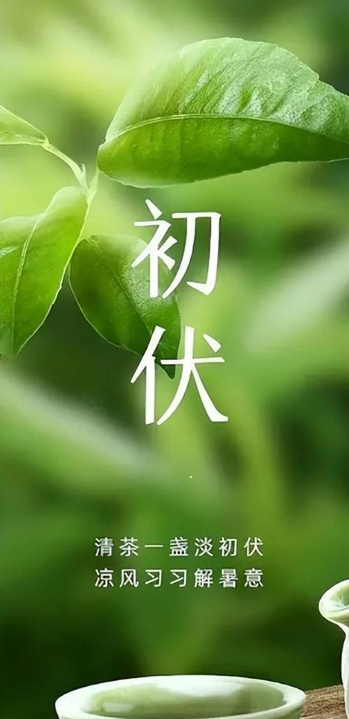 咏.伏
7/14/六/初一/晴转多云/早安
明天入伏，俗话说：头伏饺子二伏面，三
