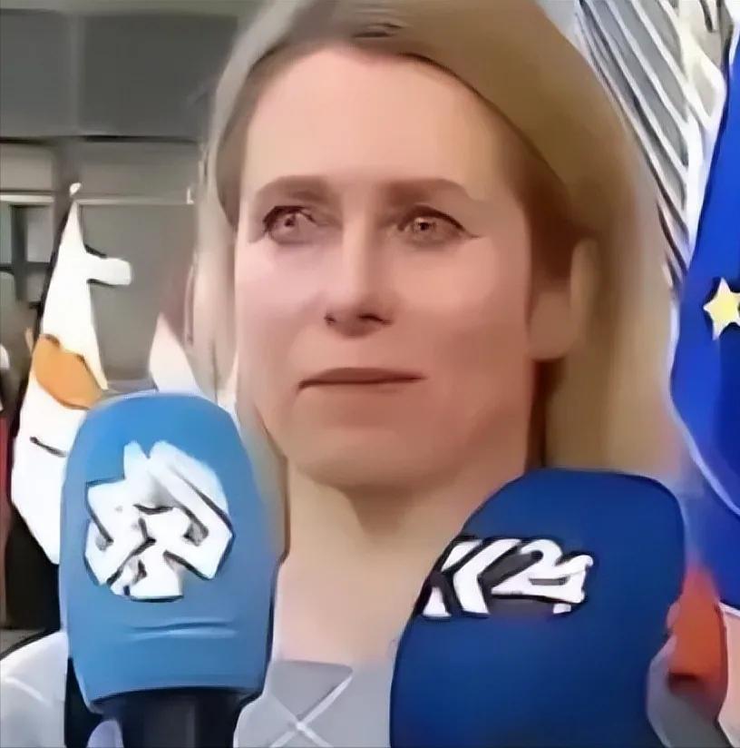 欧盟的官方声明再度令全球为之震惊：从今年起，所有与中国相关的科研机构，都将不再具