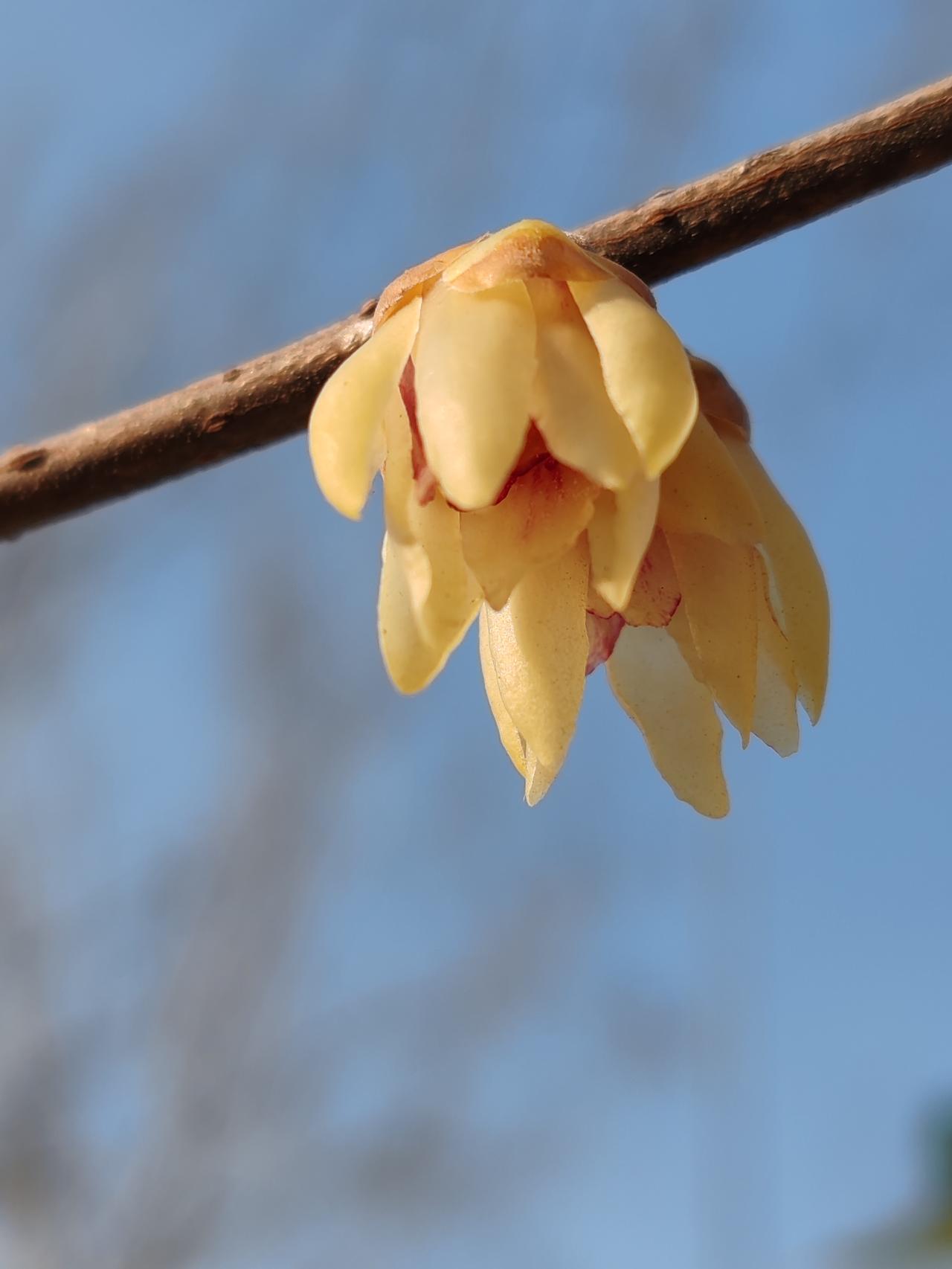 晒图笔记大赛寻寒冬中美。