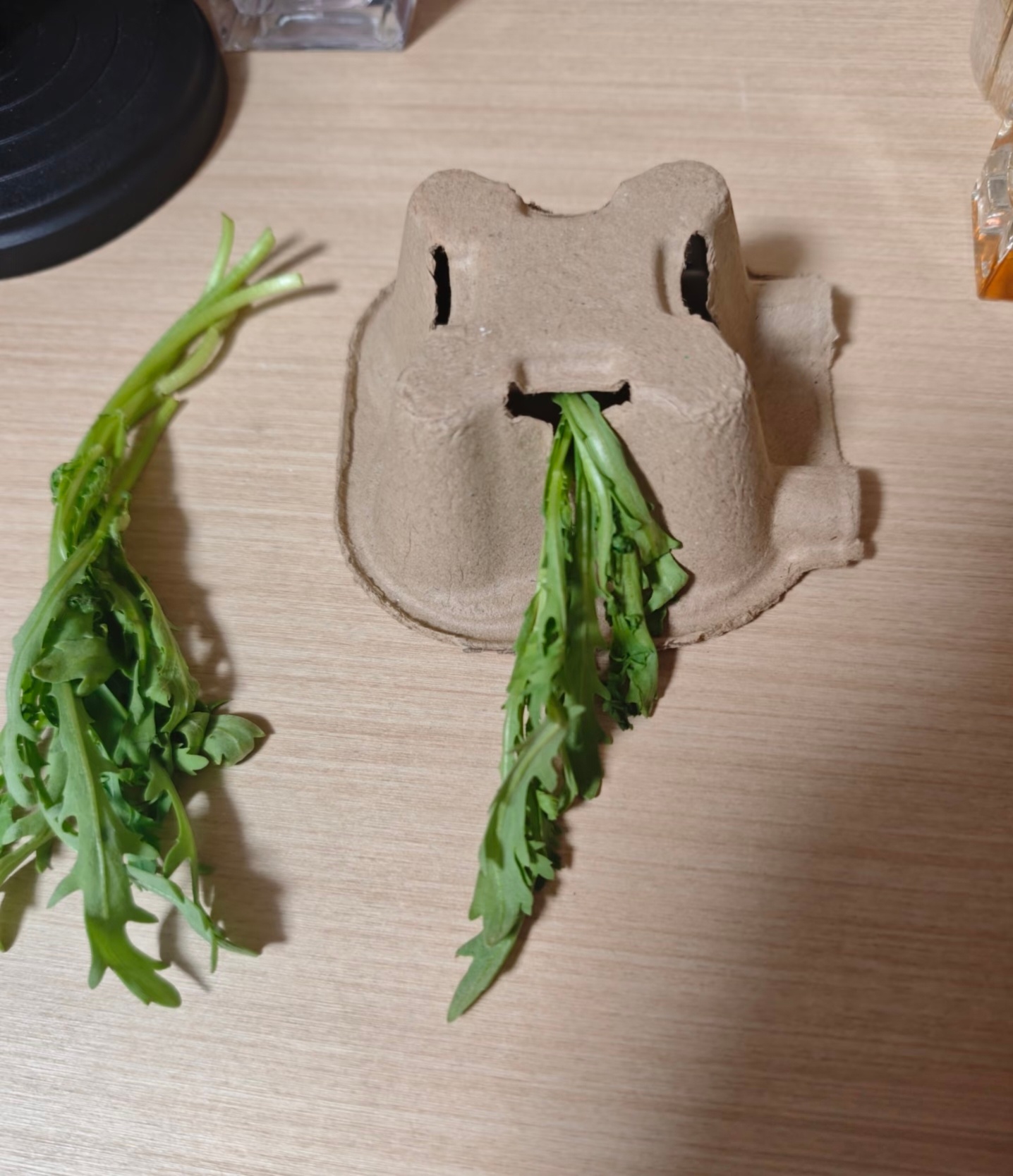 我家兔子已经不吃不喝三天了，有什么解决办法吗？在线等，挺急的