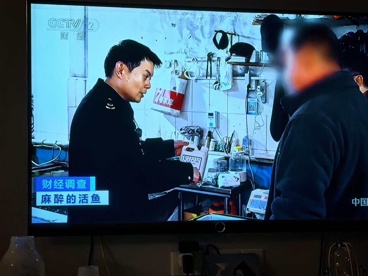 真是太可怕了！我们平常在市场上买的鱼，有可能己被己醉了，这是我偶然在中央二套节目