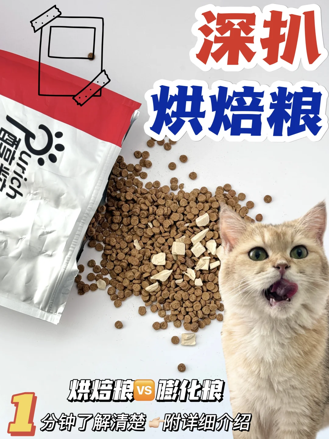 热门猫粮照妖镜‼️真的值得入手吗