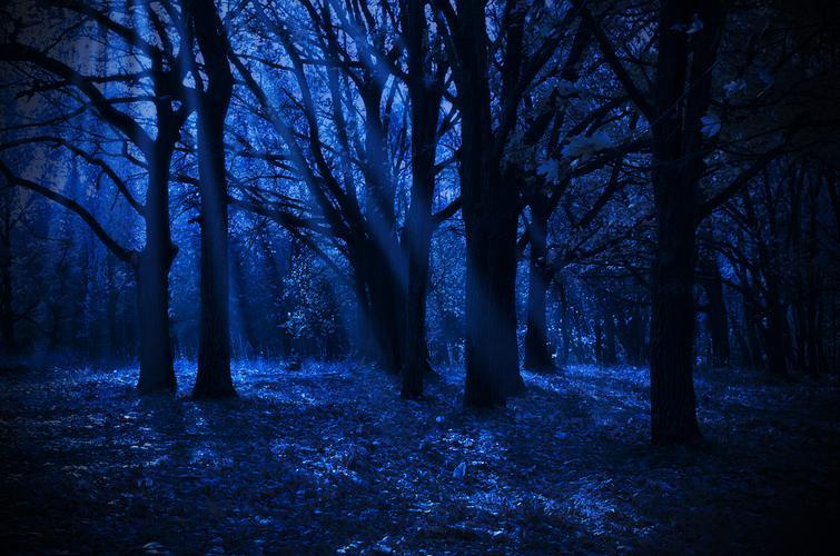 我不知道是真的假的，
我表弟得肝癌噶掉之前，
有天晚上，没有一丝风。
下半夜的时